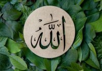 Учим имена Всевышнего: что означает имя Аль-Му'из?