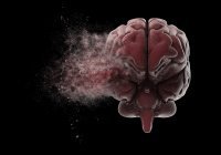 Орган мысли и разума: 10 удивительных фактов о мозге