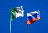 Парламенты РФ и Алжира создадут комиссию высокого уровня