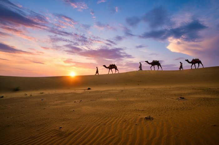 Фото: Dmitry Rukhlenko/ shutterstock.com