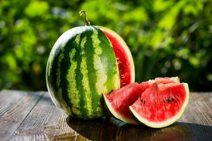 Фото: watermelon/ shutterstock.com