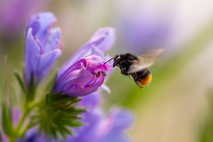 Фото: cherryyblossom/ shutterstock.com