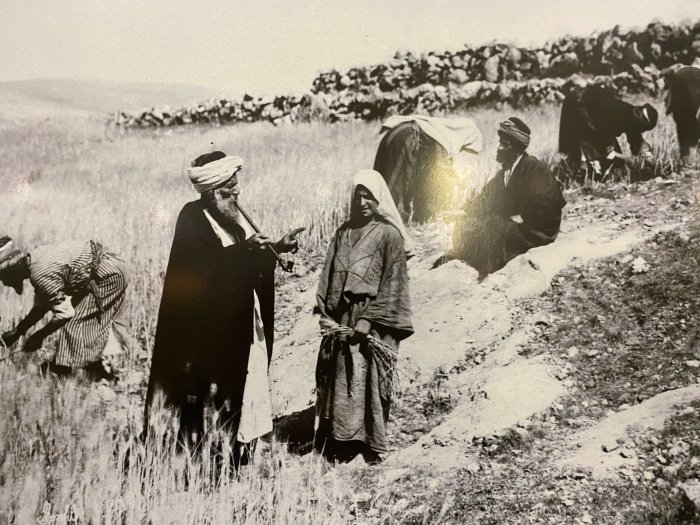 Собирание колосьев на поле Вооза. Последняя треть XIX в.