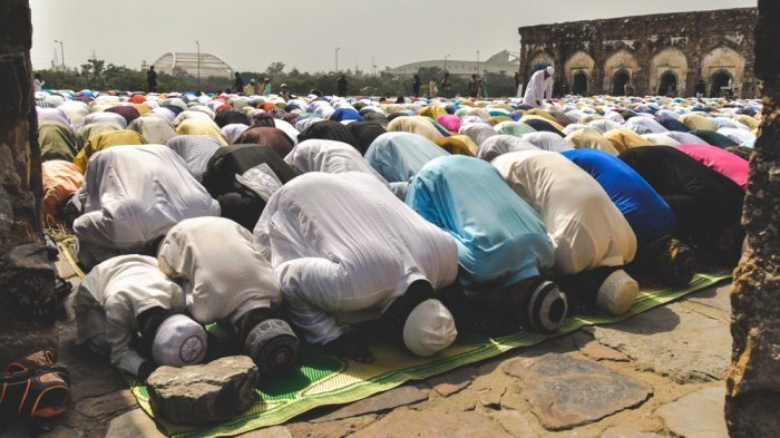 Фото: Aditya Srinivasan Singh/ shutterstock.com