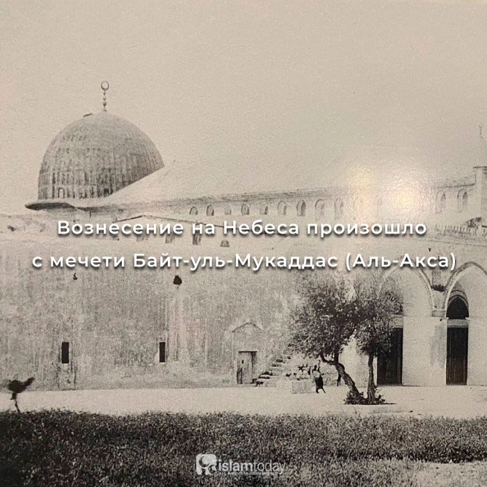 Мечеть аль-Акса. Иерусалим. 1892 г. / Фото с выставки «Мир ислама в фотоколлекции Императорского Православного Палестинского общества» Мечеть аль-Акса. Иерусалим. 1892 г. / Фото с выставки «Мир ислама в фотоколлекции Императорского Православного Палестинского общества»