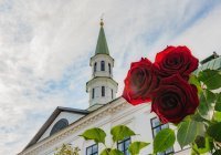 Ислам-тудей: дайджест новостей за 24 часа 