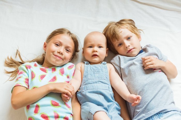 Фото: irinapavlova1 / elements.envato.com. 