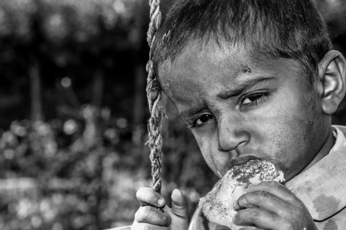 Фото: Magsi/ shutterstock.com