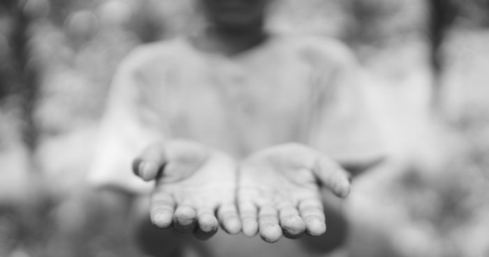 Фото: MIA Studio/ shutterstock.com