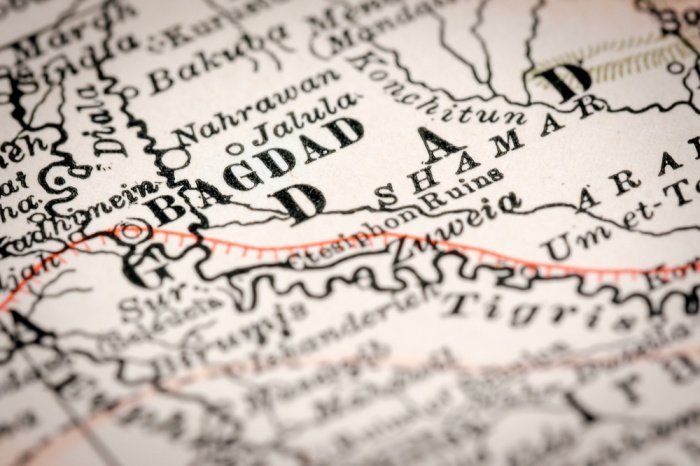 Фото: Everett Atlas/ shutterstock.com