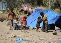 Ислам-тудей: дайджест новостей за 24 часа