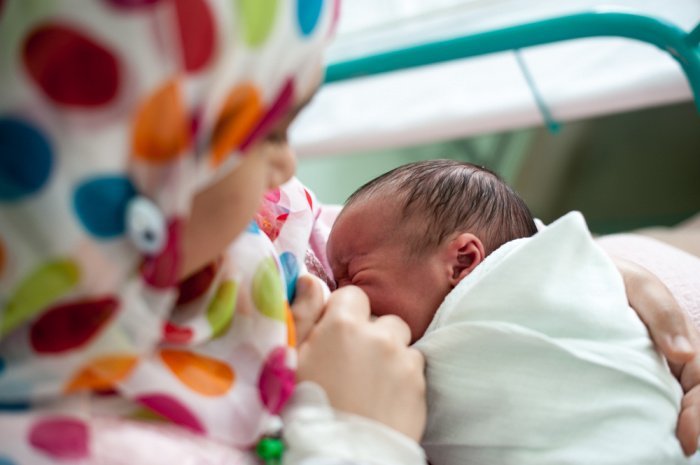 Фото: Zurijeta/ shutterstock.com Фото: Zurijeta/ shutterstock.com