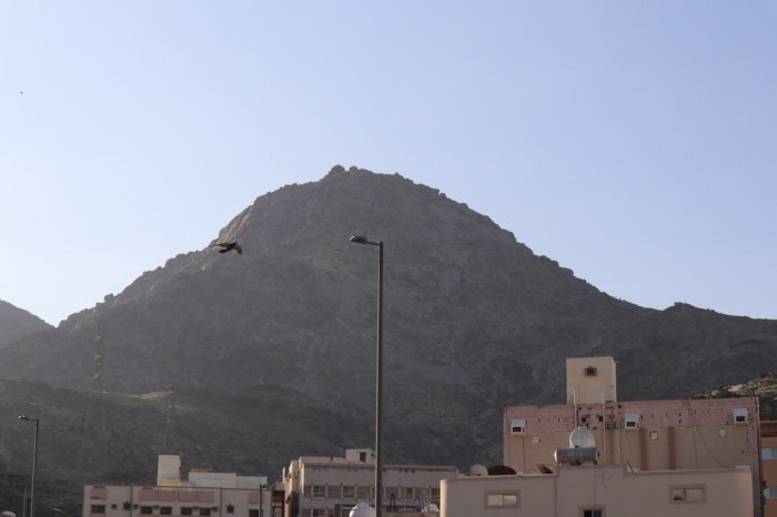 Фото: photo acorn/ shutterstock.com Фото: photo acorn/ shutterstock.com