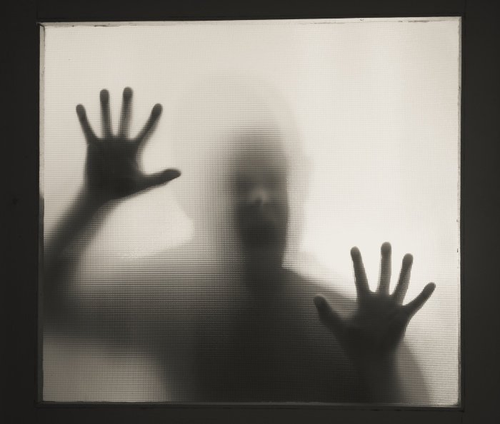 Фото: erika8213 / elements.envato.com