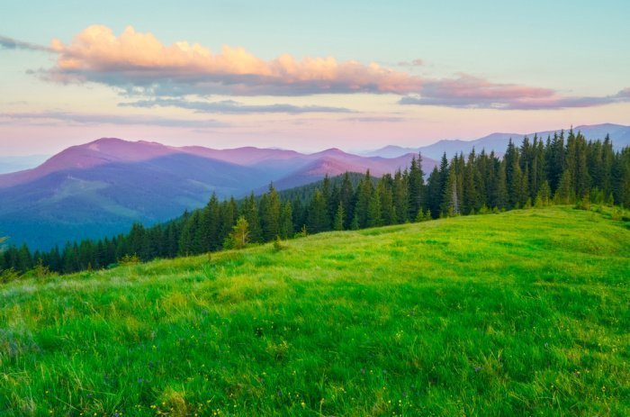 Фото: valley/ shutterstock.com