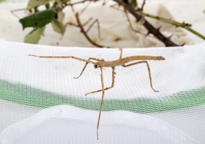 Автор: cynoclub/ elements.envato.com Автор: cynoclub/ elements.envato.com