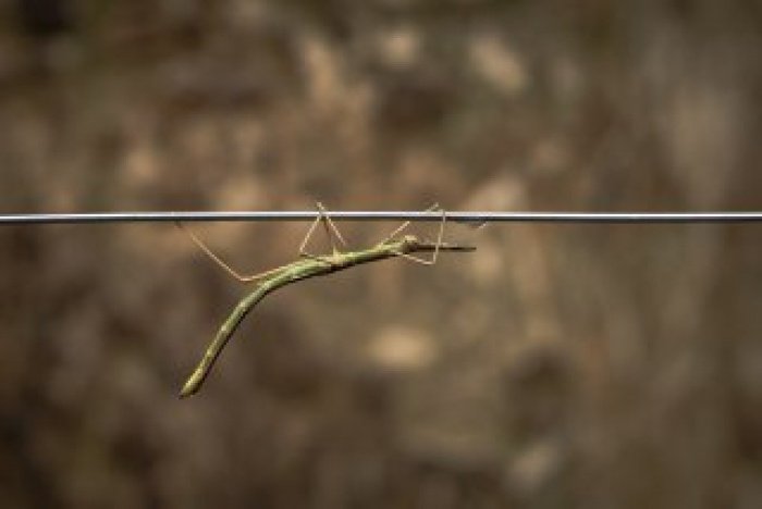 Автор: irenanna_sowinska/ shutterstock.com Автор: irenanna_sowinska/ shutterstock.com