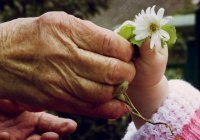 Вопрос ребром: как быть довольными запретами Аллаха?