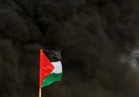 Расклад сил и признания Европы: быть ли палестинскому суверенитету? 