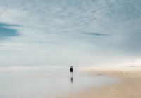 Обещания Всевышнего умме Мухаммада ﷺ в Судный день