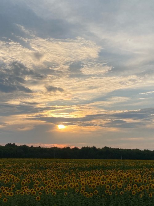 Фото: Ислам-тудей