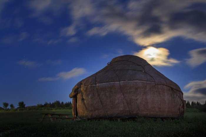 Фото: Werner Rebel/ shutterstock.com