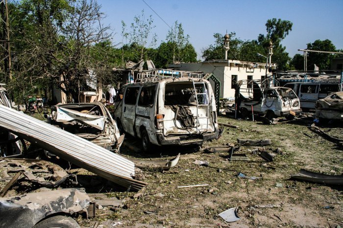 Фото: Trent Inness/ shutterstock.com