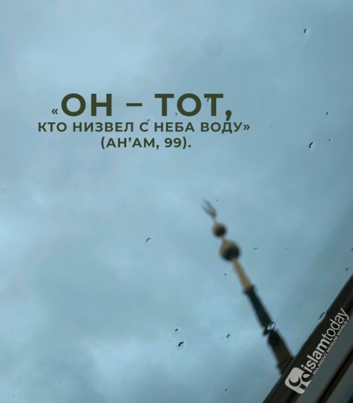 Фото: Ислам-тудей