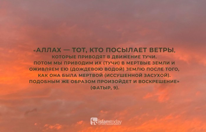 Фото: Ислам-тудей