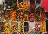 Гушр в исламе: как урожай становится милостыней