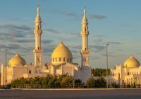 Ислам-тудей: дайджест новостей за 24 часа