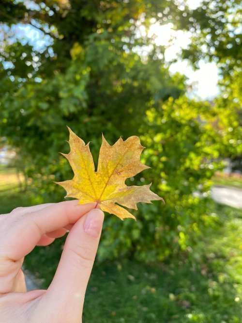 Время для размышлений: 9 дуа для осени