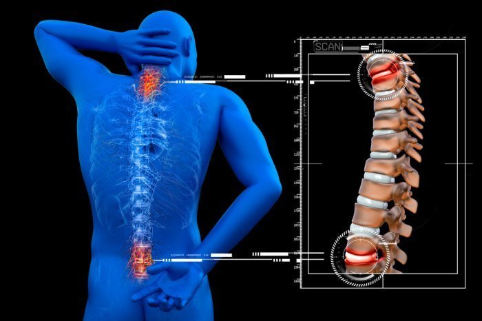 Фото: vitstudio/ shutterstock.com Фото: vitstudio/ shutterstock.com