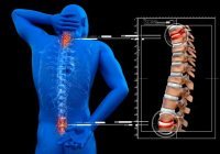 Чудеса сотворения: уникальный орган — произведение бессознательной и безликой природы?