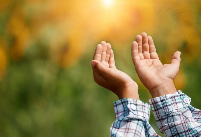 Фото: Aisylu Ahmadieva/ shutterstock.com 