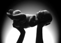 Тайна «Калю Бела»: когда души свидетельствовали перед Аллахом