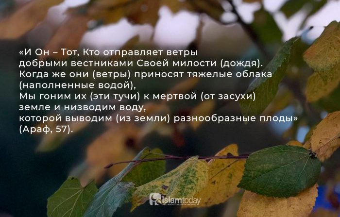 Какие дуа следует читать, чтобы не заболеть?