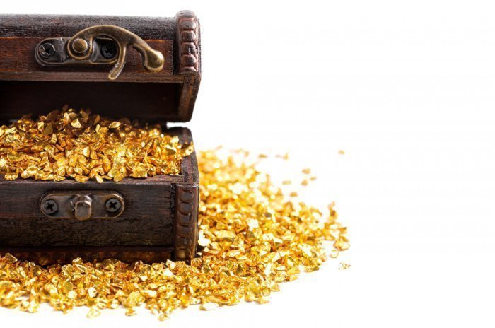 Фото: P Maxwell Photography/ shutterstock.com