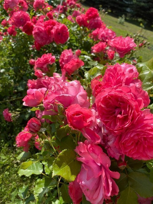 Фото: Ислам-тудей Фото: Ислам-тудей