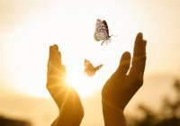 Мудрость без времени: как понять и принять предопределение Аллаха? (Видео)