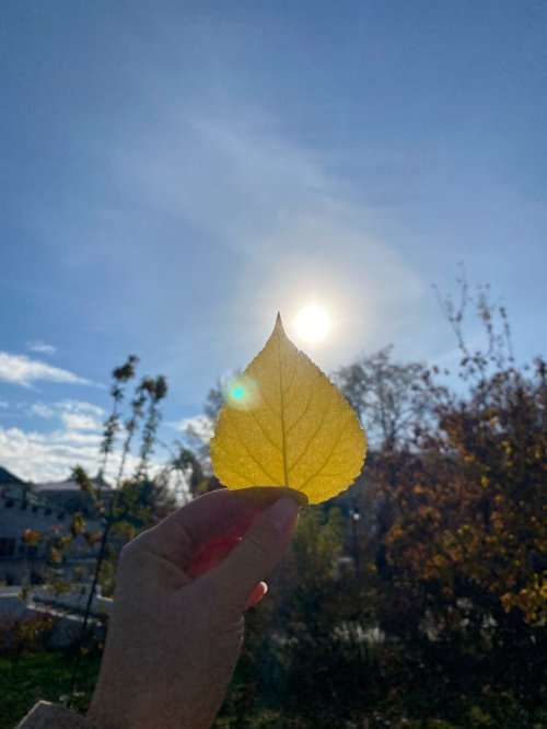 Фото: Ислам-тудей