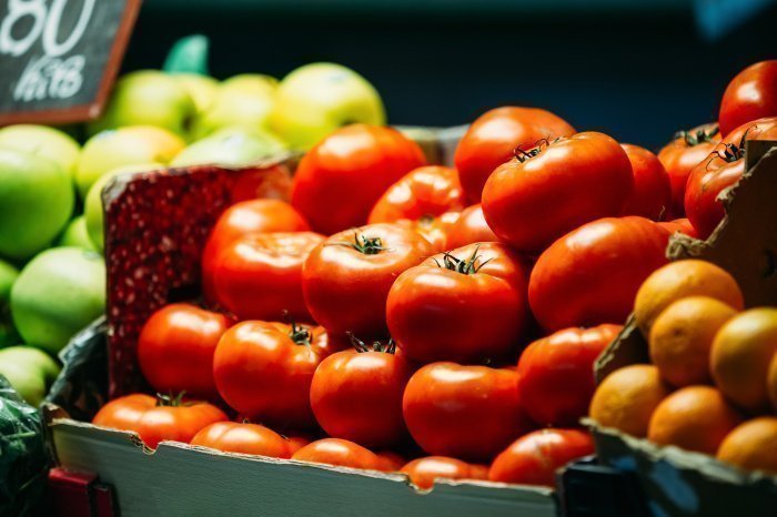 Фото: elements.envato.com. Автор: Great_bru. 