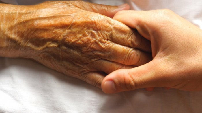 Фото: OLEH SLEPCHENKO/ shutterstock.com 