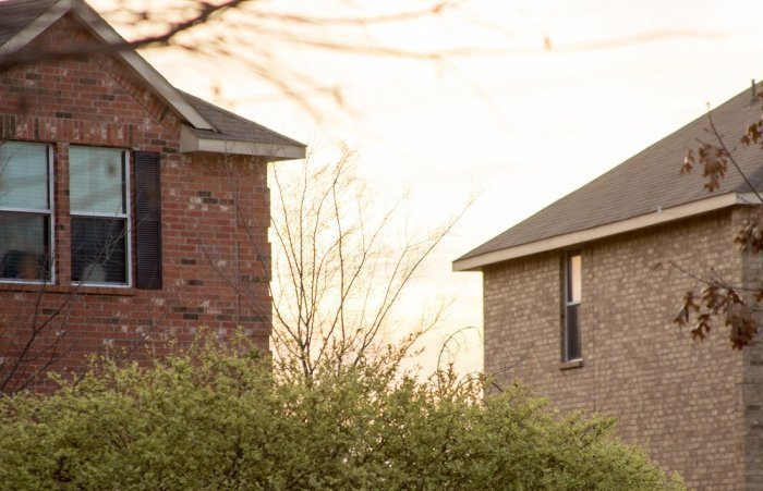 Фото: chasingafterdear / elements.envato.com/ru 