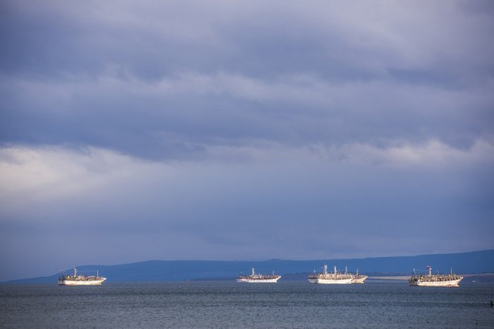 Фото: MatthewWilliams-Ellis / elements.envato.com/ru