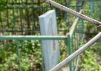 Ангелы у смертного одра: что видит и слышит умирающий?