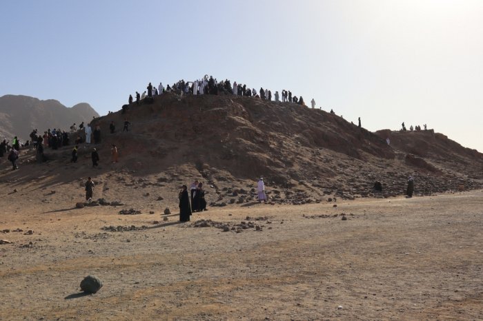 Фото: photo acorn/ shutterstock.com 