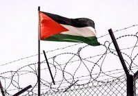 Ислам-тудей: дайджест новостей за 24 часа