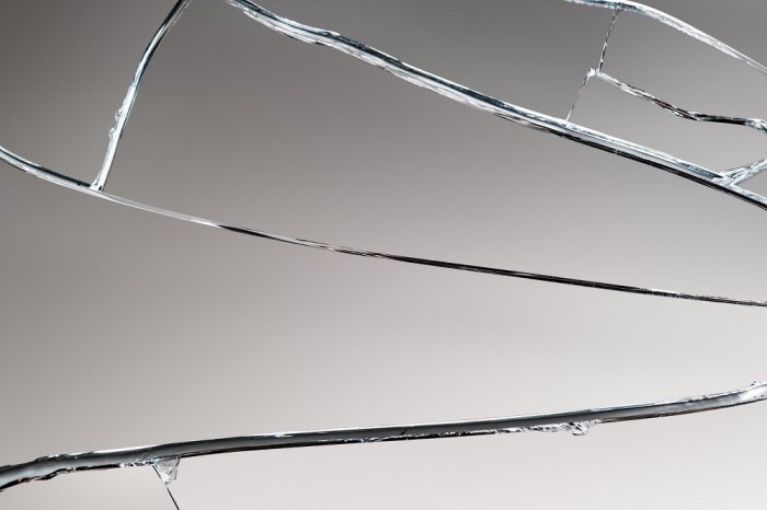 Фото: Rawpixel / elements.envato.com/ru Фото: Rawpixel / elements.envato.com/ru