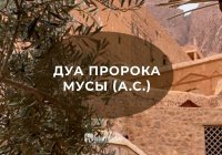 После этой молитвы пророк Муса (а.с.) обрел дом, семью и работу